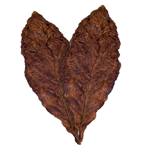 fronto leaf