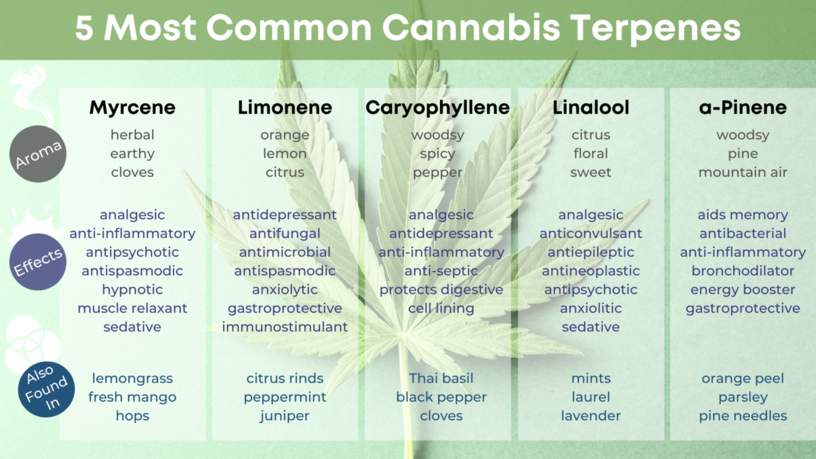 Terpene